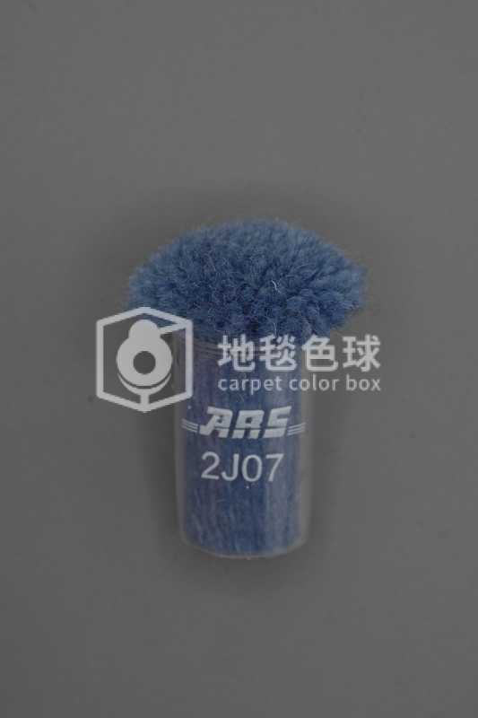 ARS 2J07