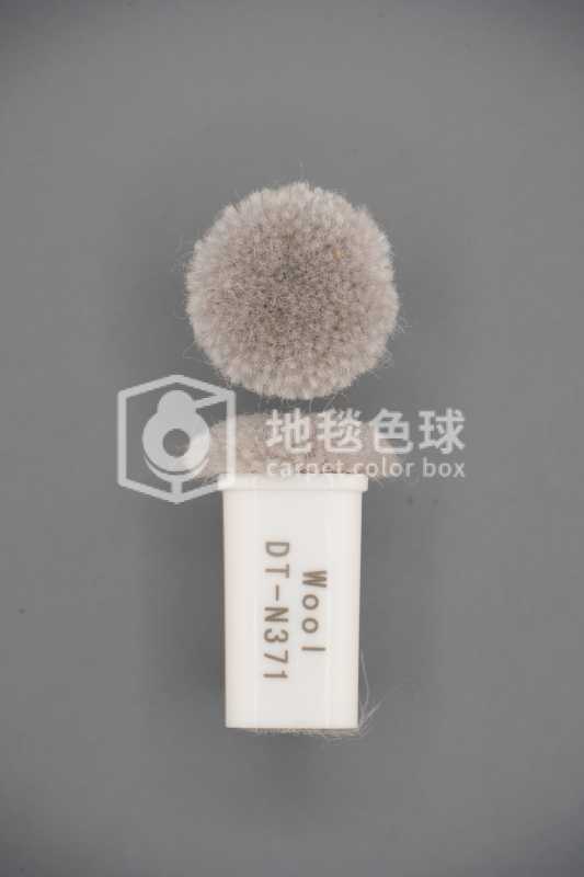 DT N371