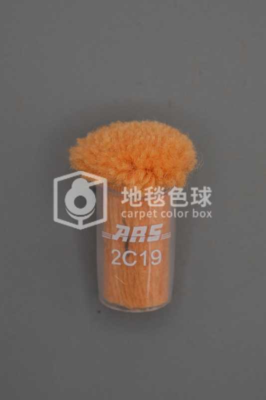 ARS 2C19