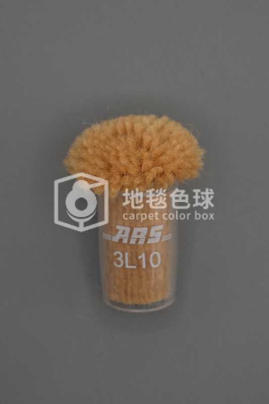 ARS 3L10