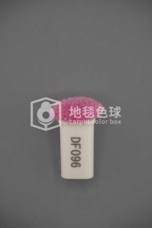 DF096