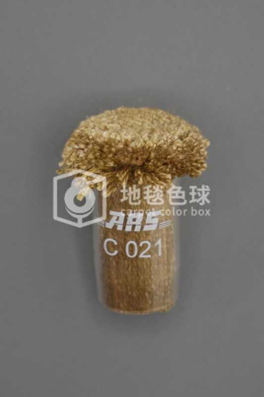ARS C021