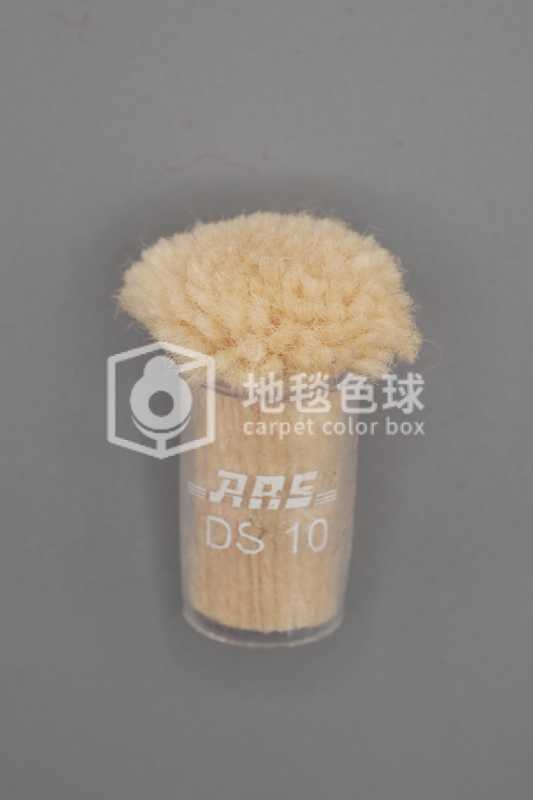 ARS DS10