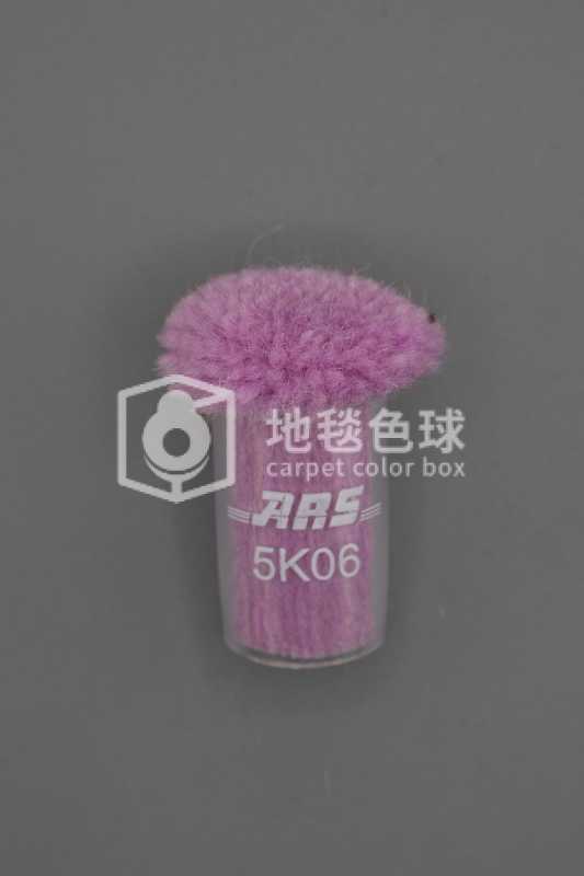 ARS 5K06