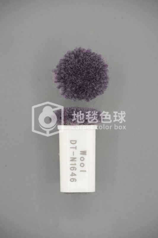 DT N1646