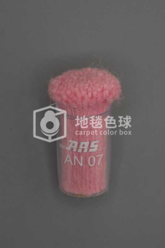 ARS AN07