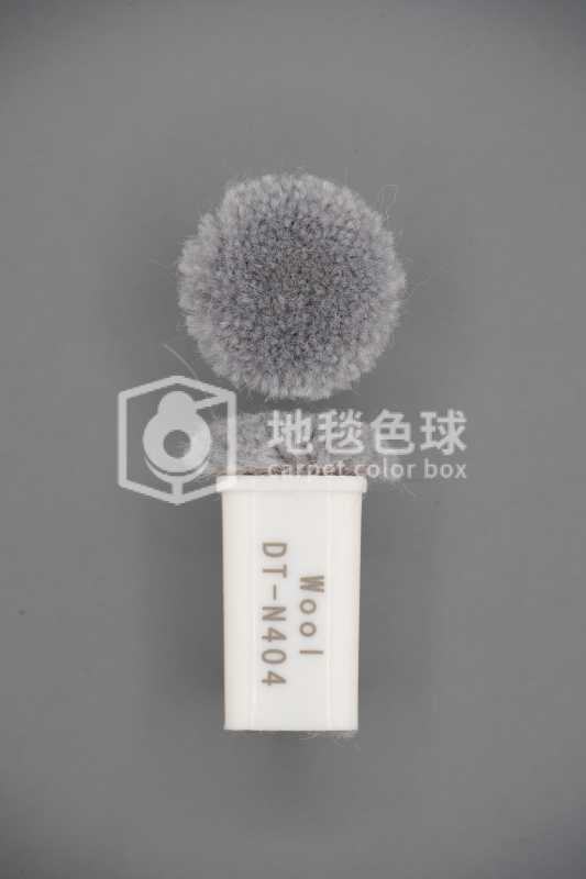 DT N404