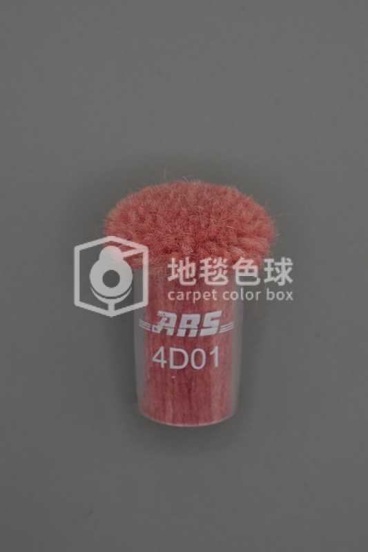 ARS 4D01