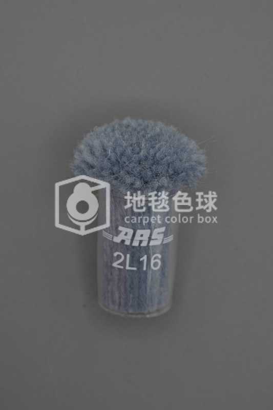 ARS 2L16
