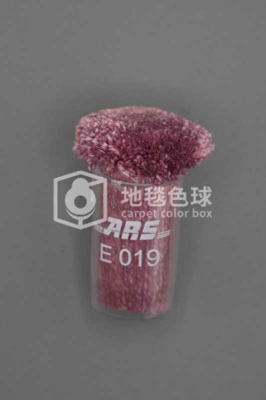 ARS E019