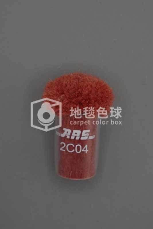 ARS 2C04