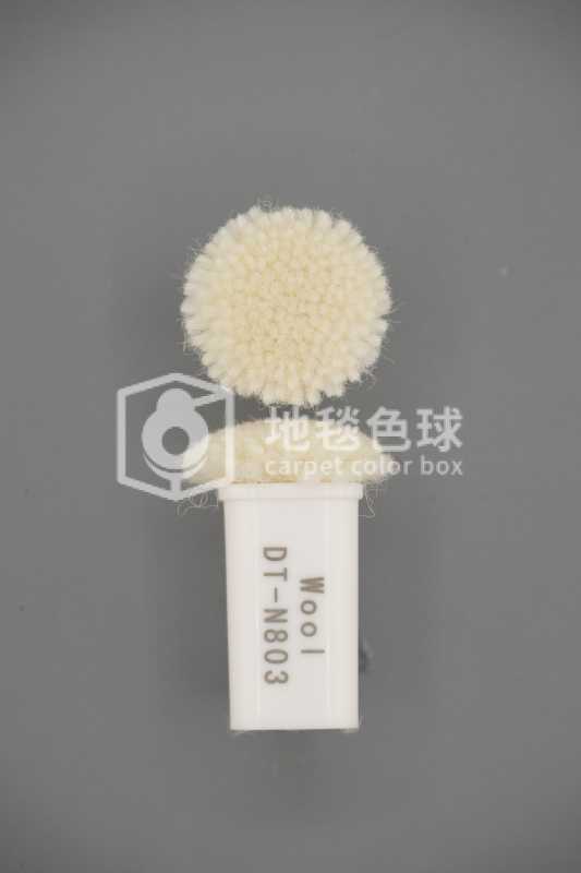 DT N803