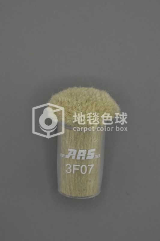 ARS 3F07