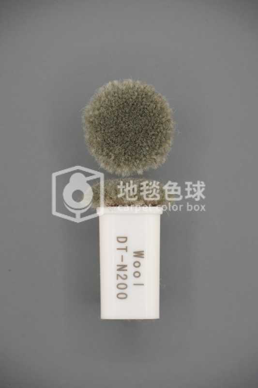 DT N200