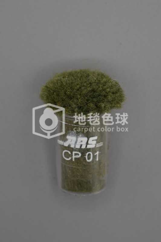ARS CP01