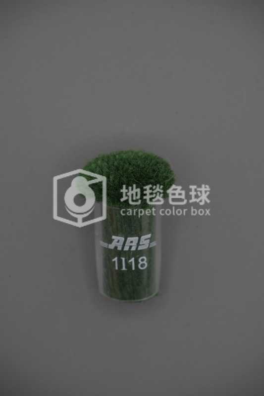 ARS 1I18