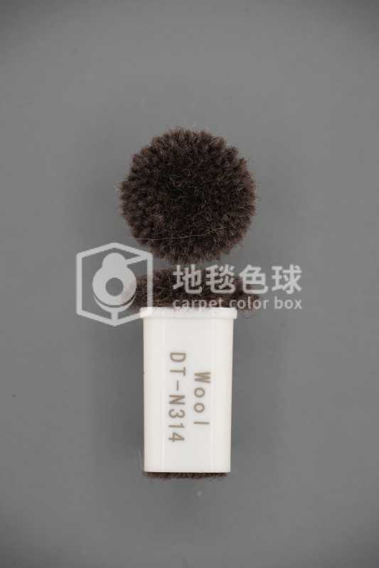 DT N314