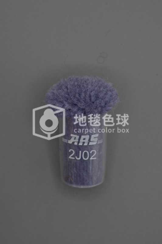 ARS 2J02