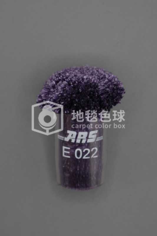ARS E022