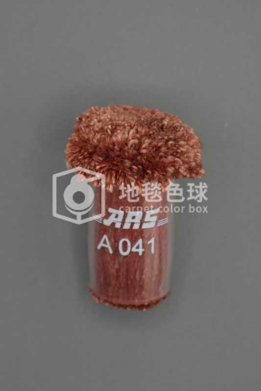 ARS A041