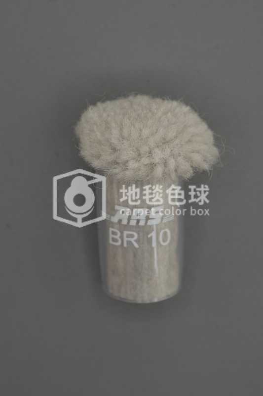 ARS BR10