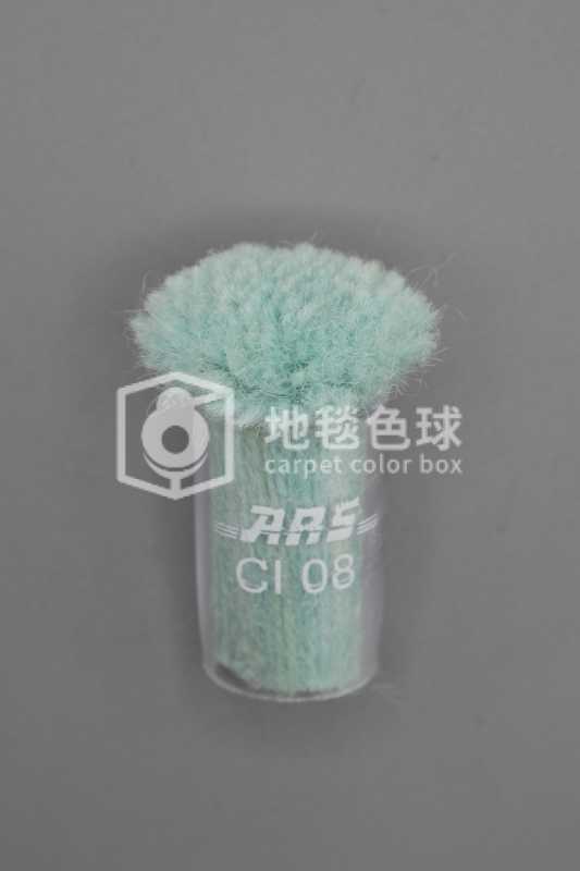 ARS CI08