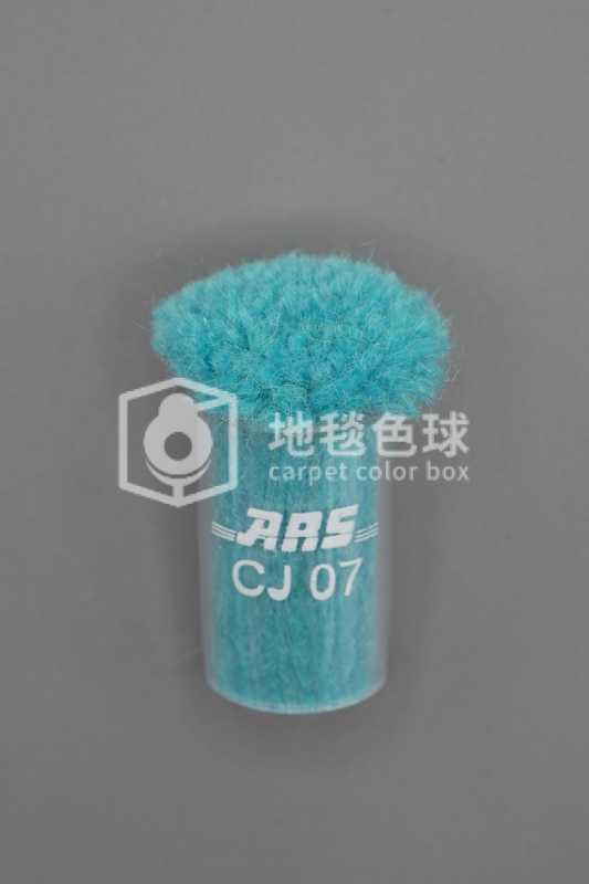 ARS CJ07