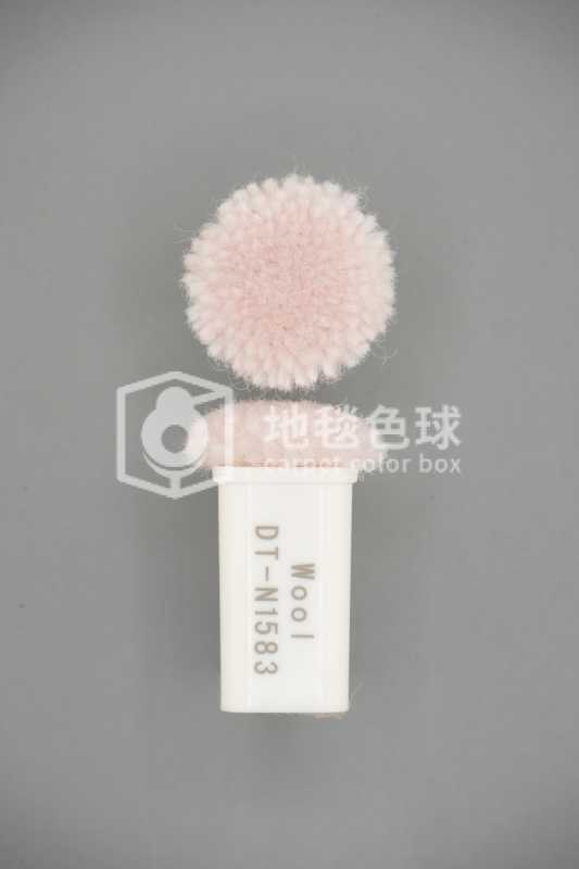 DT N1583