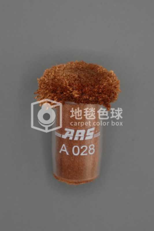ARS A028