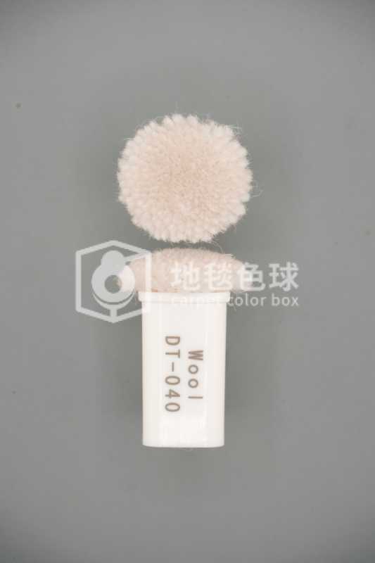 DT 040