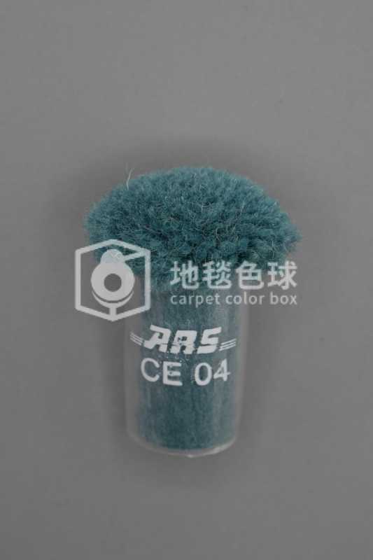 ARS CE04
