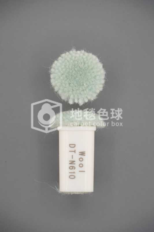 DT N610