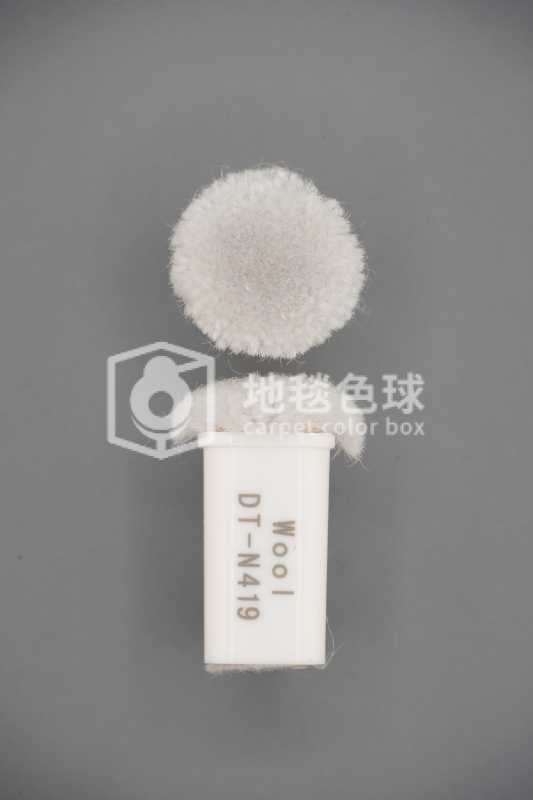 DT N419