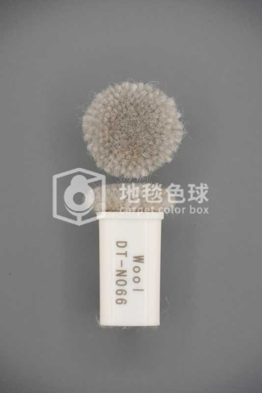 DT N066