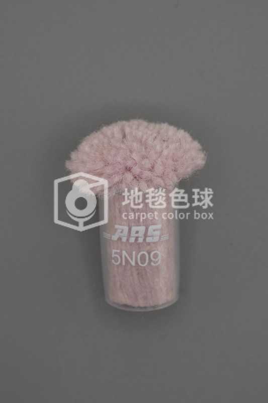 ARS 5N09