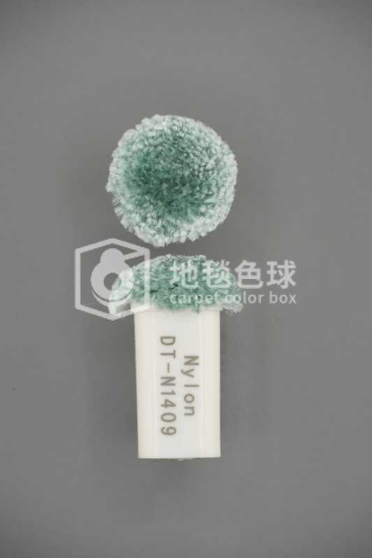 DT N1409