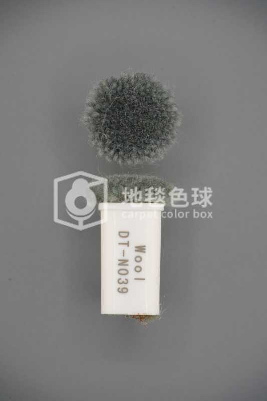 DT N039