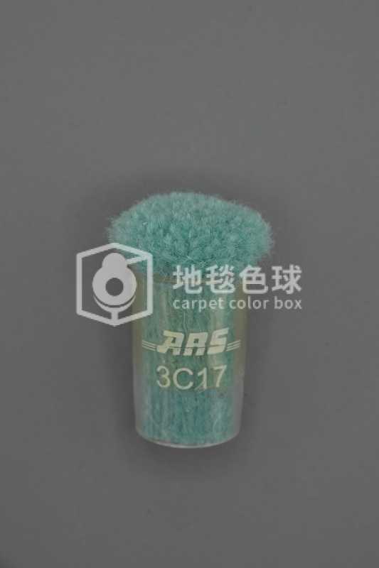 ARS 3C17