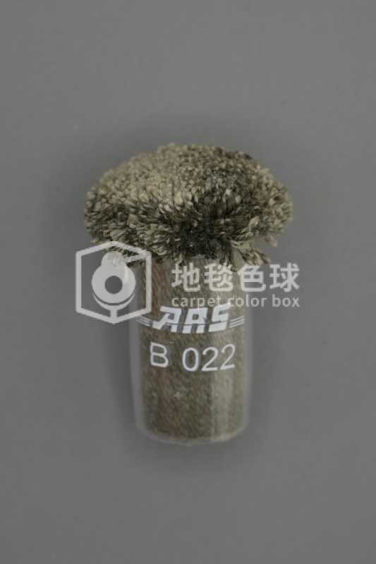 ARS B022