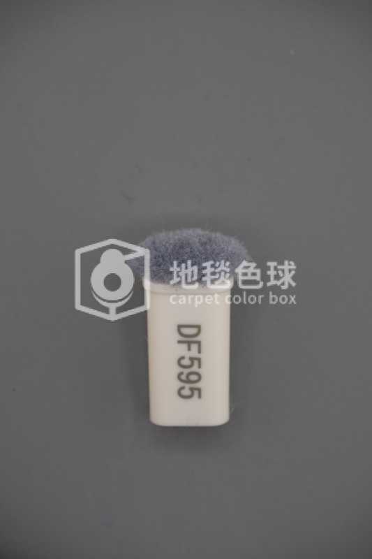 DF595
