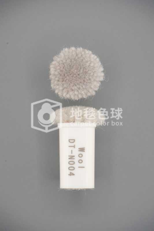 DT N004