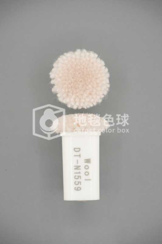 DT N1559