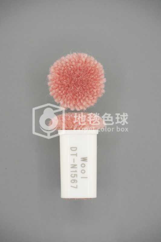 DT N1567