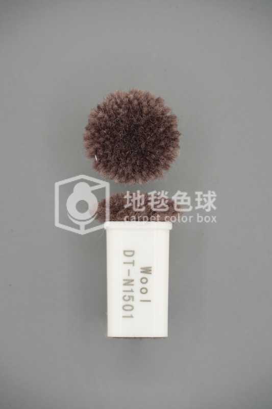 DT N1501