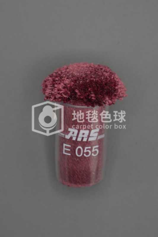 ARS E055