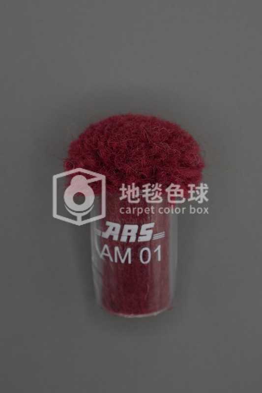 ARS AM01