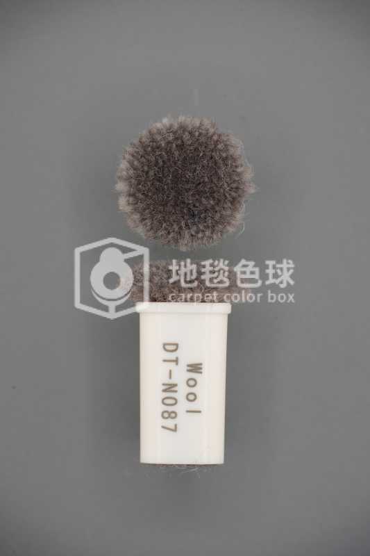 DT N087