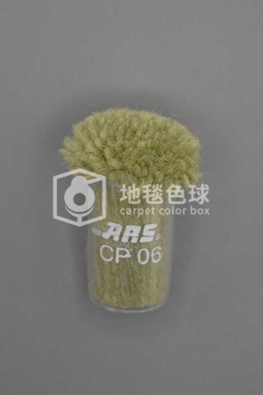 ARS CP06