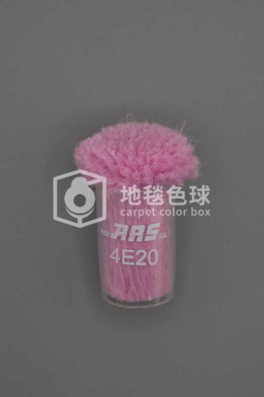 ARS 4E20