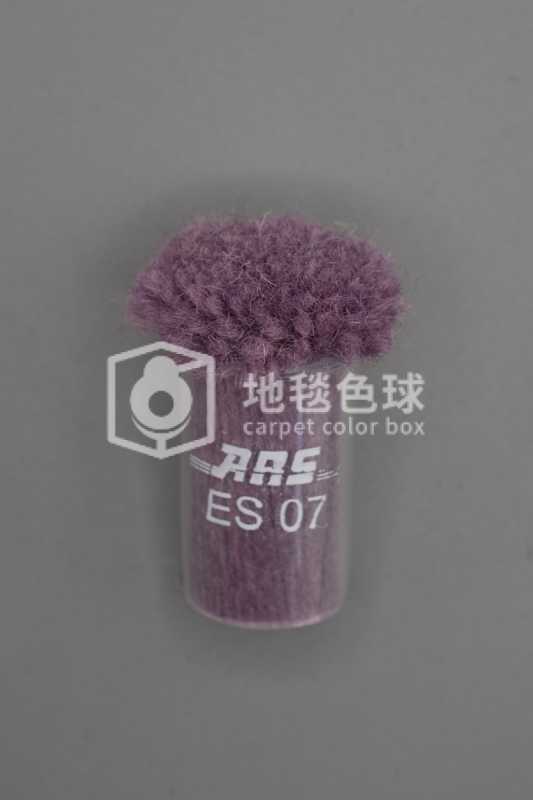 ARS ES07
